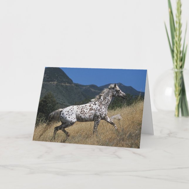Tarjeta Caballo del Appaloosa que funciona con para arriba (Anverso)