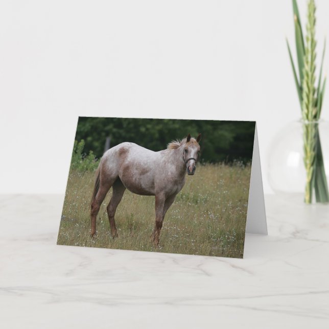 Tarjeta Caballo del Appaloosa que se coloca en la hierba (Anverso)