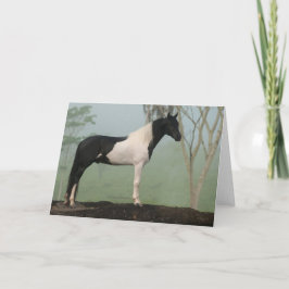 Tarjeta Caballo del Pinto