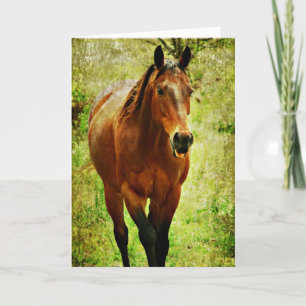Tarjeta Caballo Divertido, Cumpleaños