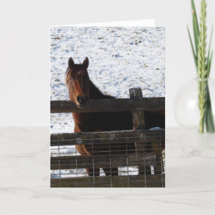 Tarjeta Caballo en el cumpleaños de la cerca