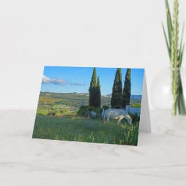 Tarjeta Caballo feliz