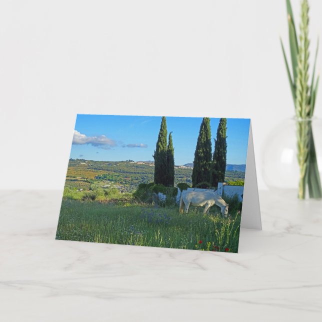 Tarjeta Caballo feliz (Anverso)