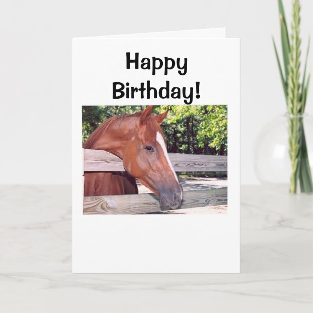 Tarjeta ¡Caballo, feliz cumpleaños! (Anverso)