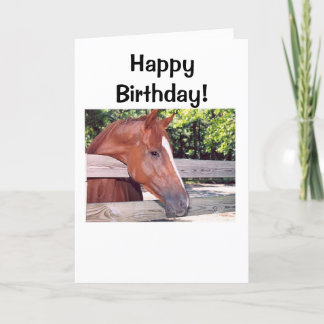 Tarjeta ¡Caballo, feliz cumpleaños!