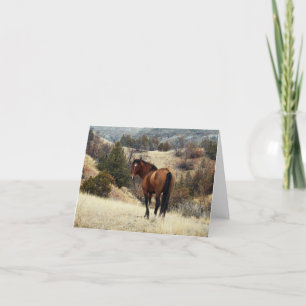 Tarjeta Caballo Feral, Parque Nacional Theodore Roosevelt,