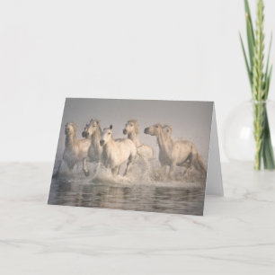 Tarjeta Caballo galopando en el agua mediterránea