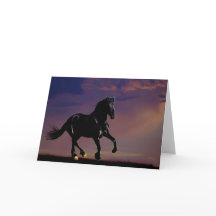 Caballo galopante libre