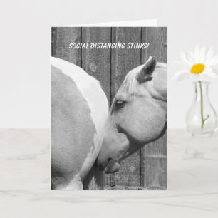 Tarjeta Caballo gracioso apesta a distanciamiento social e