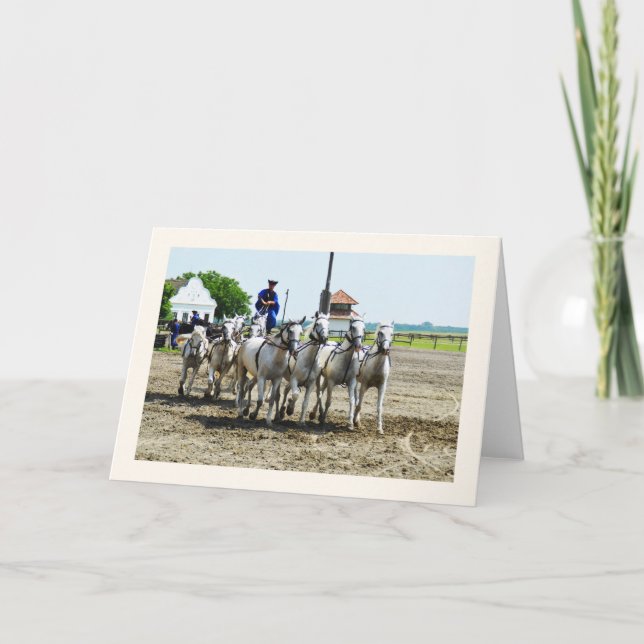 Tarjeta Caballo húngaro (Anverso)