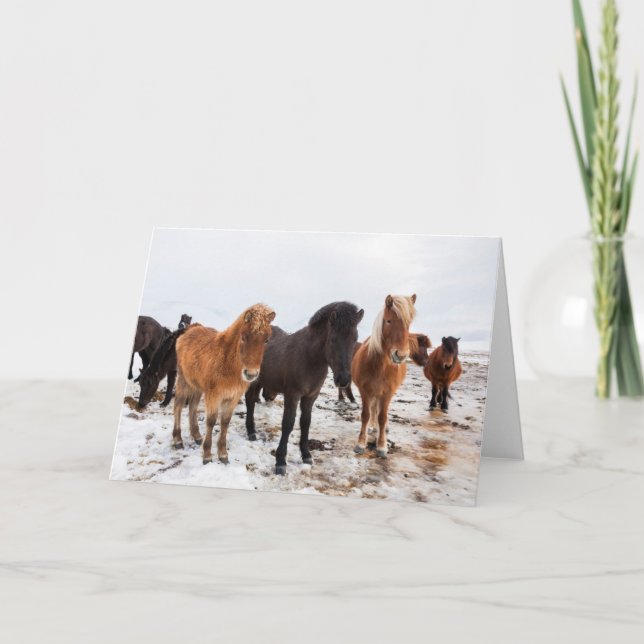Tarjeta Caballo islandés durante el invierno en Islandia (Anverso)
