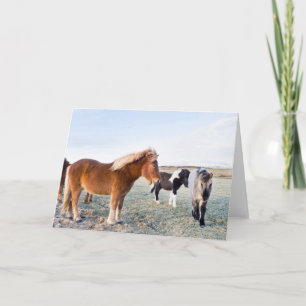 Tarjeta Caballo islandés en invierno en Islandia