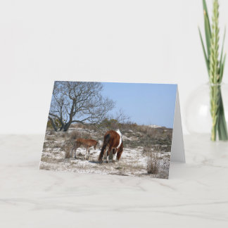 Tarjeta Caballo madre y bebé en Assateague