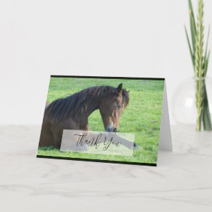 Tarjeta Caballo marrón bonito sentado en la hierba gracias