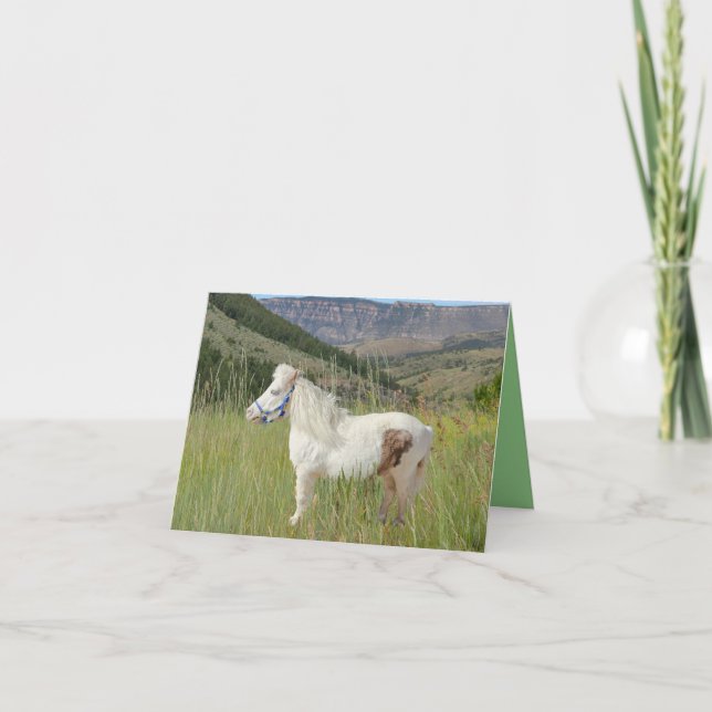 Tarjeta Caballo miniatura real en cumpleaños de montañas o (Anverso)