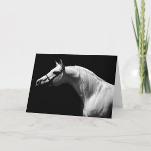 Tarjeta Caballo negro y blanco