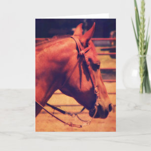 Tarjeta Caballo Occidental