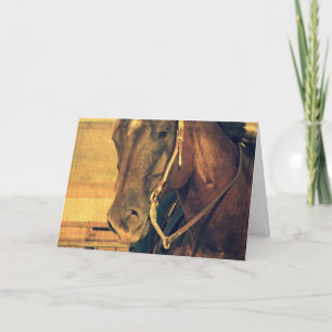 Tarjeta Caballo Occidental, Cumpleaños