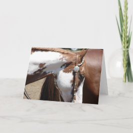 Tarjeta Caballo Oeste de Pinto