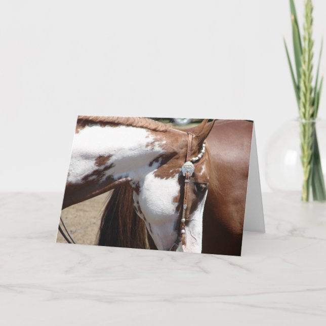 Tarjeta Caballo Oeste de Pinto (Anverso)