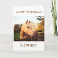 CABALLO QUE AMAS ENVÍA AL CUMPLEAÑOS WISH NEPHEW
