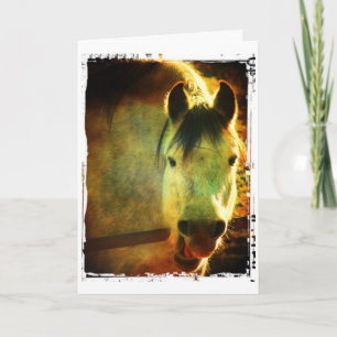 Tarjeta Caballo riendo, Cumpleaños
