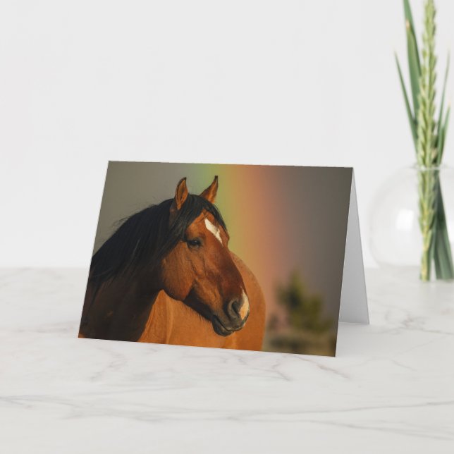Tarjeta Caballo Salvaje, Luz Dorada y Arcoíris (Anverso)