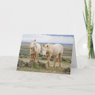 Tarjeta Caballo salvaje recorriendo el Priaire de Cody