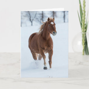 Tarjeta Caballo solitario corriendo en la nieve