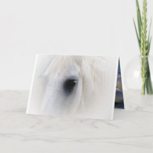 Tarjeta Caballo y Floral