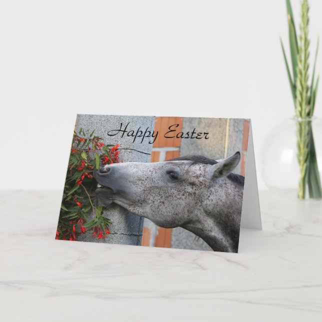 Tarjeta Caballo y flores Pascua feliz (Anverso)