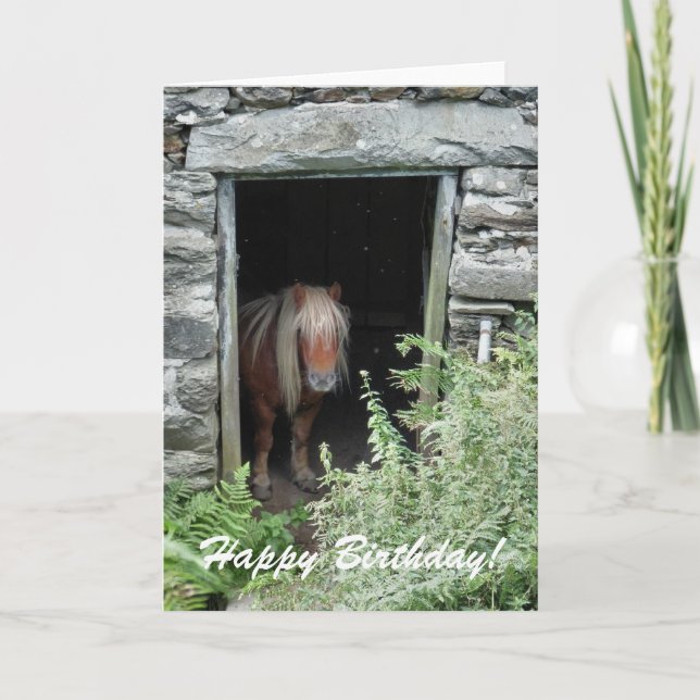 TARJETA CABALLOS (Anverso)