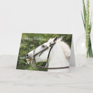 TARJETA CABALLOS