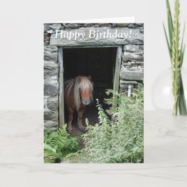TARJETA CABALLOS (Anverso)