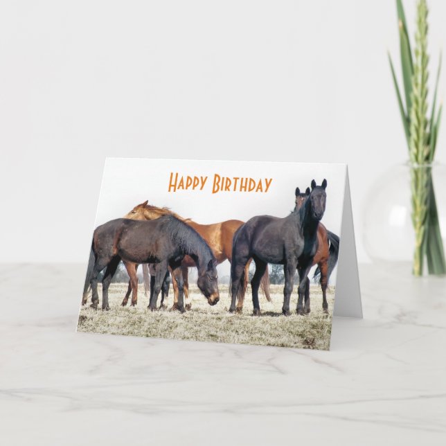 TARJETA CABALLOS (Anverso)