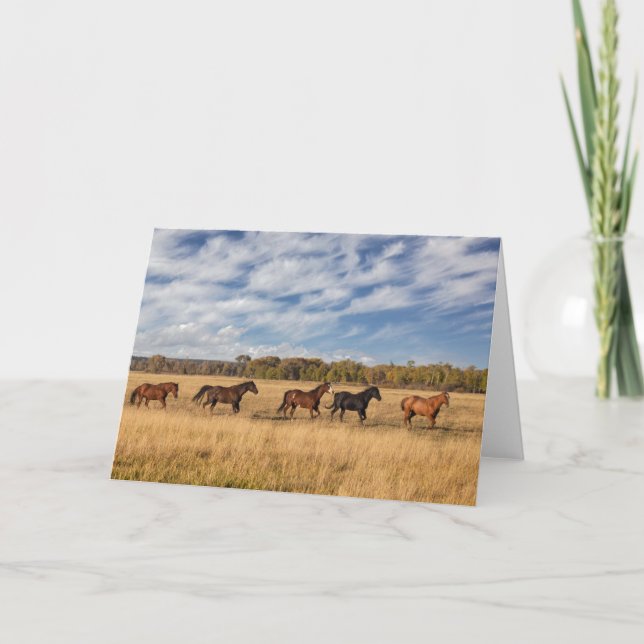 Tarjeta Caballos a las afueras del parque nacional Grand T (Anverso)