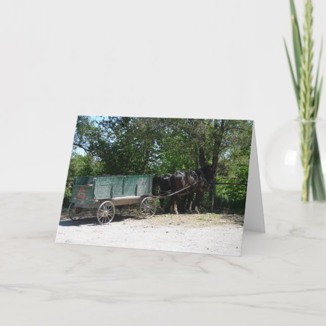 Tarjeta Caballos Amish (Anverso)