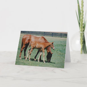 TARJETA CABALLOS AMISTOSOS