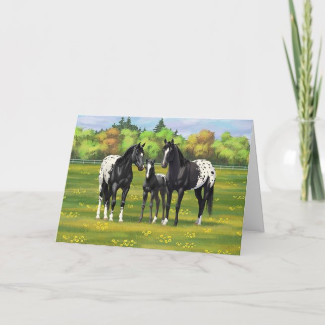 Tarjeta Caballos Appaloosa Negros En Pastel De Verano (Anverso)
