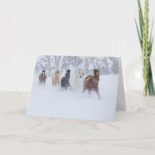 Tarjeta Caballos corriendo a través de la nieve