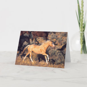 Tarjeta Caballos corriendo en un rancho Ponderosa