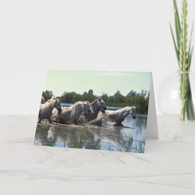 Tarjeta Caballos cruzando agua (Anverso)