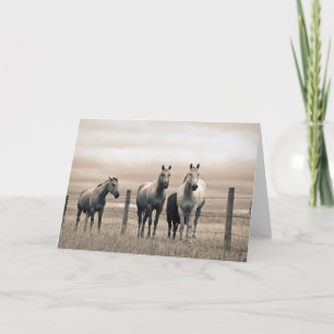 Tarjeta Caballos Cuarto de Milla en la Pradera Canadiense
