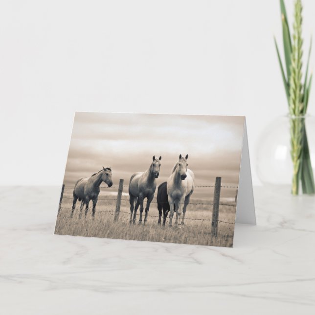 Tarjeta Caballos Cuarto de Milla en la Pradera Canadiense (Anverso)