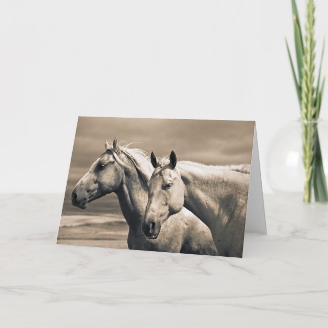 Tarjeta Caballos Cuarto de Milla en la Pradera Canadiense (Anverso)
