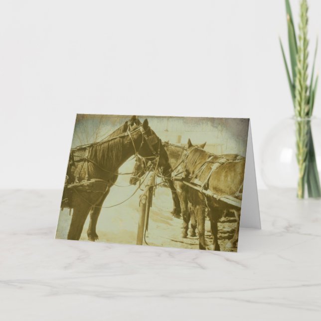 Tarjeta Caballos de Amish, cumpleaños (Anverso)