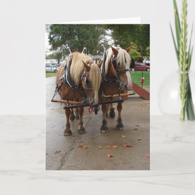 Tarjeta Caballos de Bélgica (Anverso)