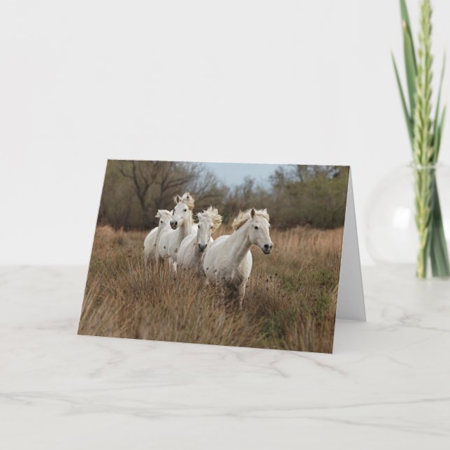 Tarjeta Caballos de Camargue corriendo (Anverso)