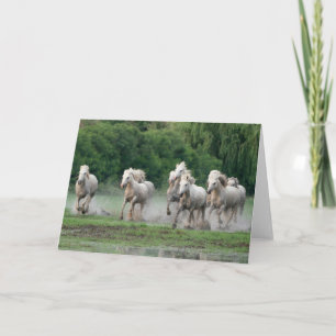 Tarjeta Caballos de Camargue corriendo en el agua