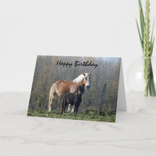 Tarjeta Caballos de cumpleaños felices (Anverso)